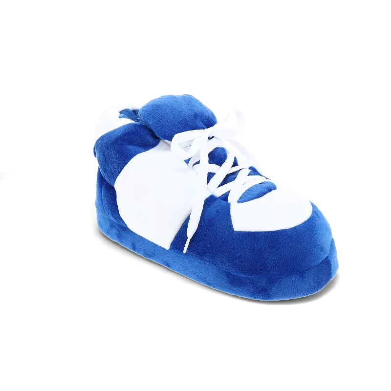 Men's slippers in a warm color like red or brown Blue and White