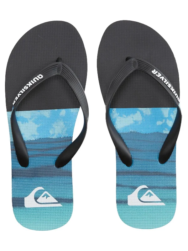 Men's sandals with a toe post designMolokai Panel Mens Slip-On Toe-Post Flip-Flops